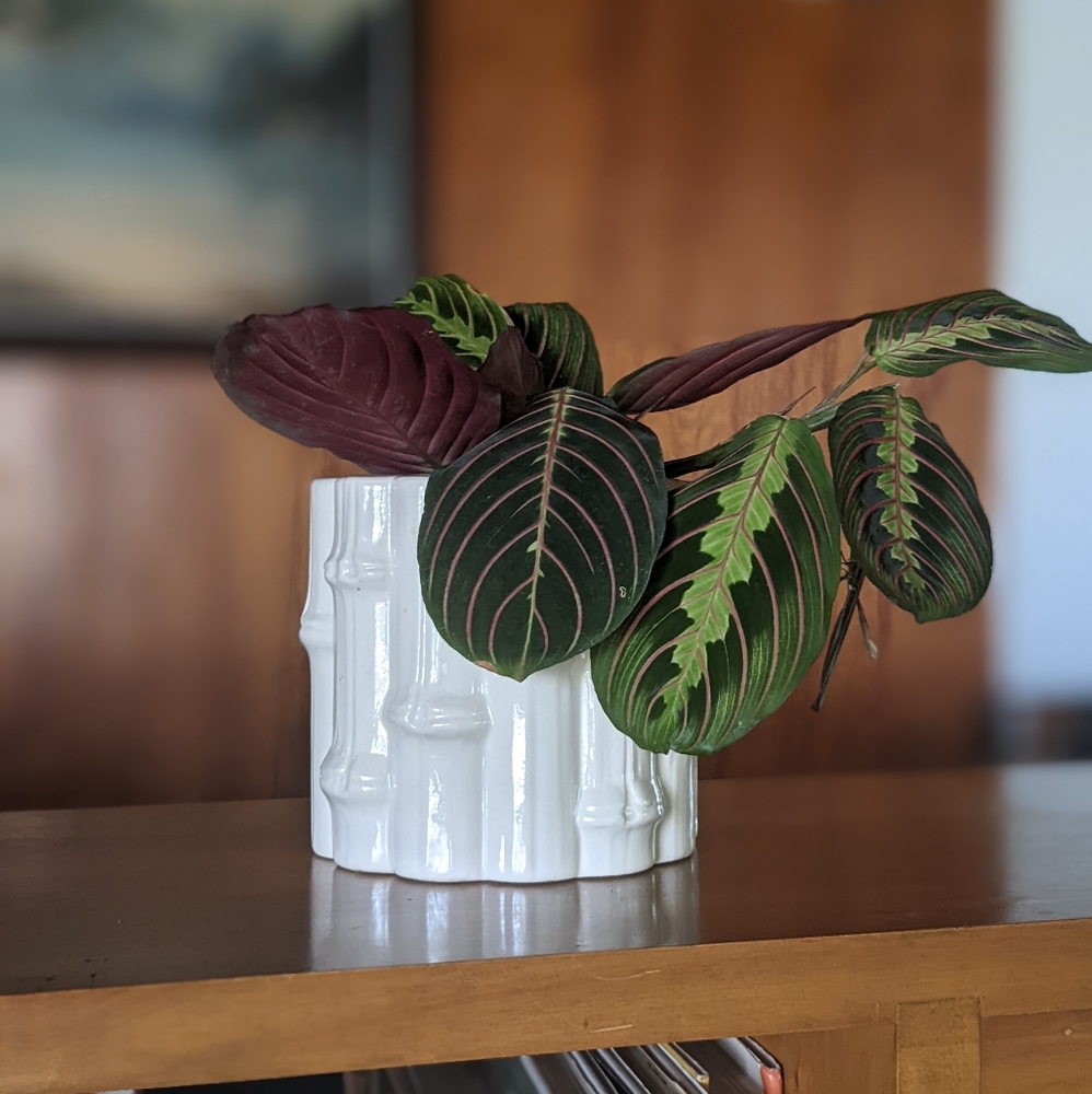 Vintage Ceramic Planter - Picture 4 of 4
